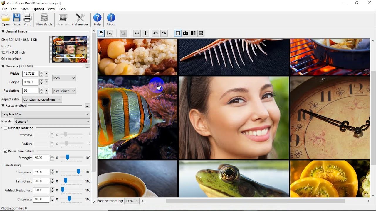 Benvista PhotoZoom 8.2.2 Crack + Keygen Free Download [2022]
